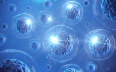 U-M researchers develop method to observe cancer cells’ potential to metastasize in the body
