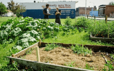 Urban agriculture in Detroit: Scattering vs. clustering and the prospects for scaling up