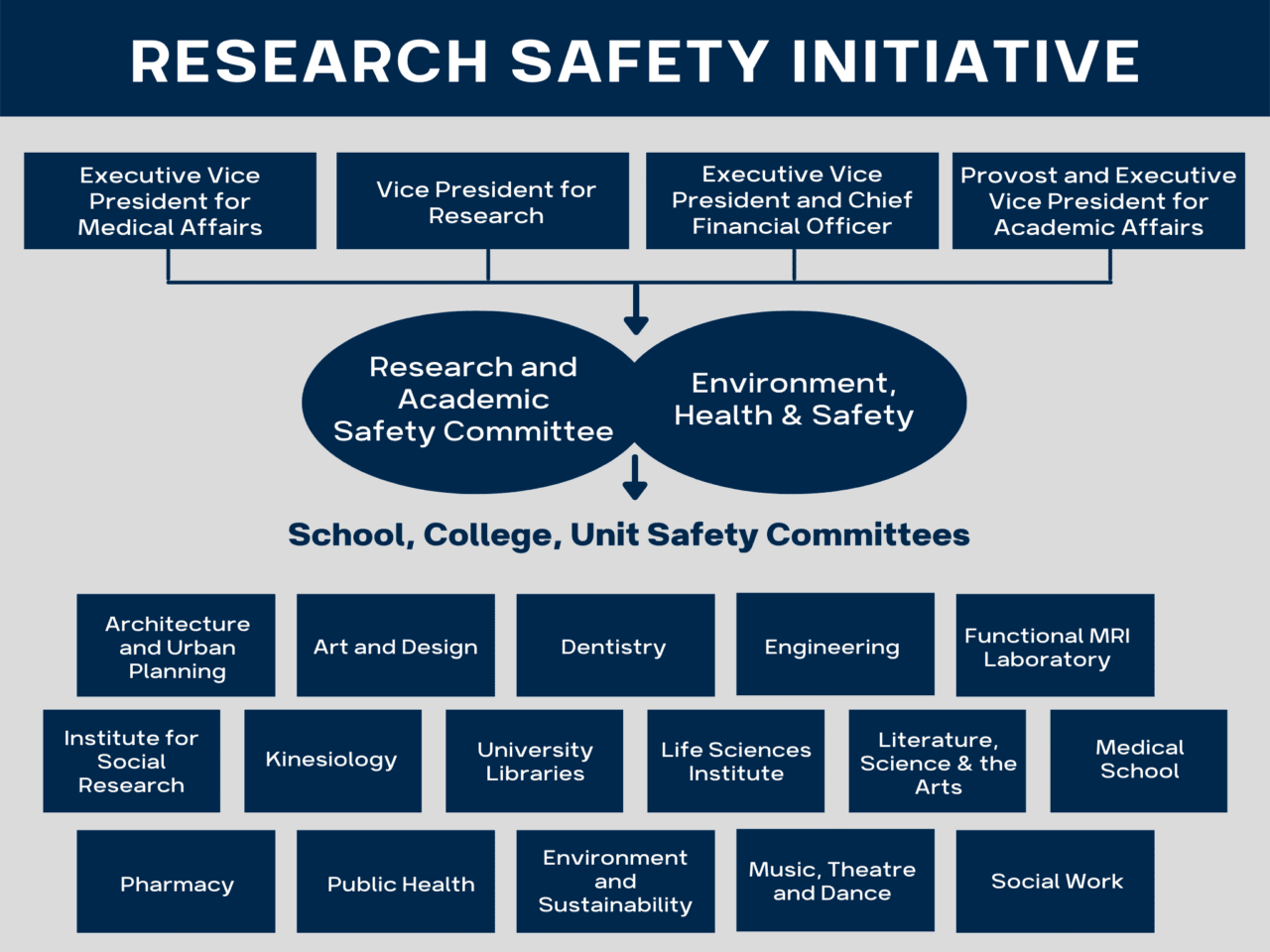 Safety Committees UM Research
