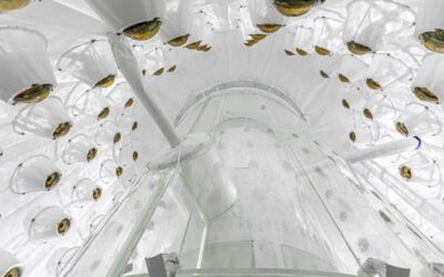 Successful Startup of Particle Detector Aims to Pin Down Dark Matter