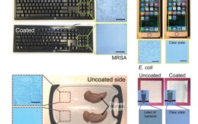 Durable coating kills COVID virus, other germs in minutes