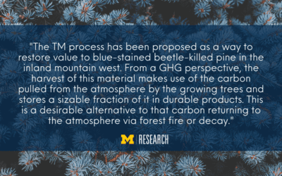 Study: Blue-stained pine can add value through thermal modification processing