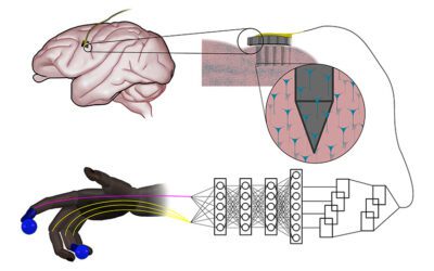 Simple neural networks outperform the state-of-the-art for controlling robotic prosthetics