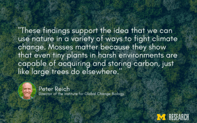 Study: Modest moss supports billions of tons of carbon storage