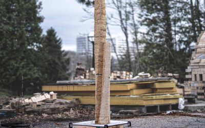 Nearly zero-waste solution for construction: Reusable robotic 3D-printed formwork from upcycled sawdust