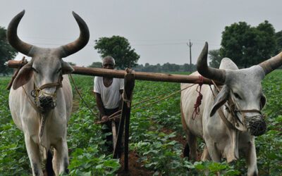 Groundwater depletion rates in India could triple in coming decades as climate warms, study shows