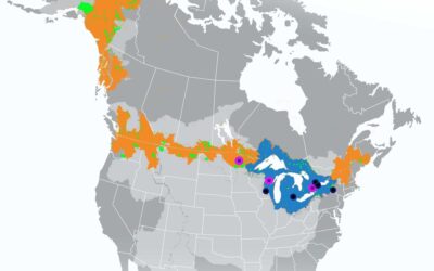 U-M-based center awarded $5M grant to study climate change impacts on water resources across borders