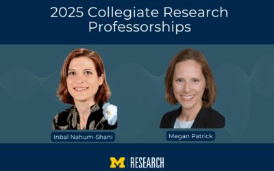OVPR awards two faculty Collegiate Research Professorships