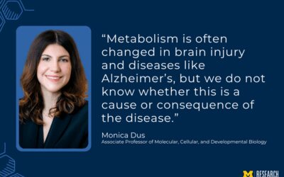 Metabolism may unlock the secret to a deeper understanding of neurodegeneration
