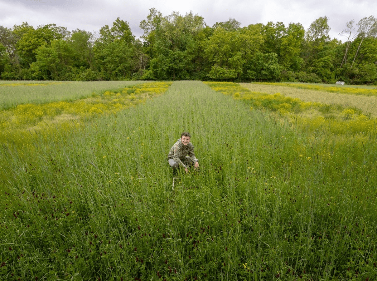 Will Brinkerhoff, a PhD candidate at the University of Michigan School for Environment and Sustainability (SEAS) Will Brinkerhoff kneels alone in the center of a green field surrounded by tall grasses and wildflowers, forest in background.