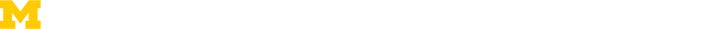 Michigan institute for computational discovery and engineering