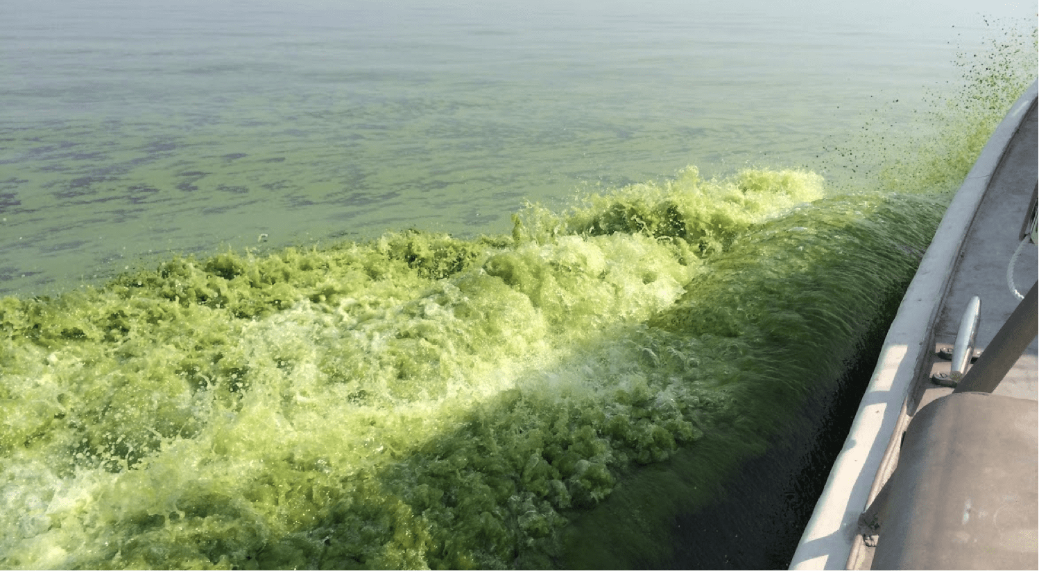 Boat moving through green, algae-filled water, creating waves and turbulence as thick algal bloom swirls beside it.