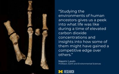Discovery gives insight into how 2 ancient human ancestors coexisted in the same area