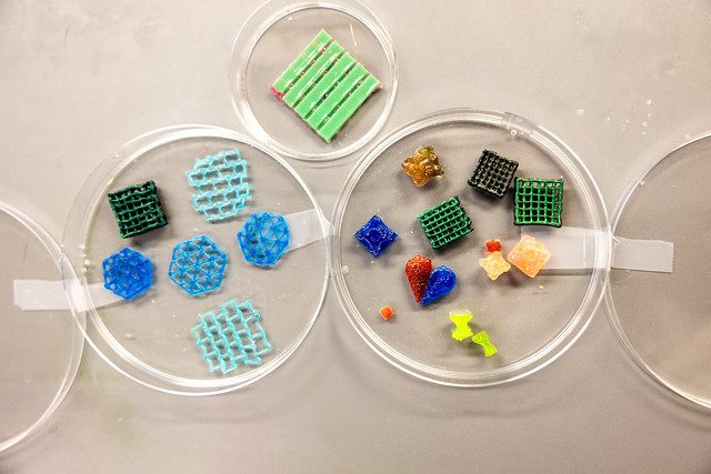 Colorful 3D-printed geometric shapes displayed in petri dishes on a laboratory counter, illustrating experimental material samples.