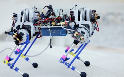 Open-source modular robot for understanding evolution