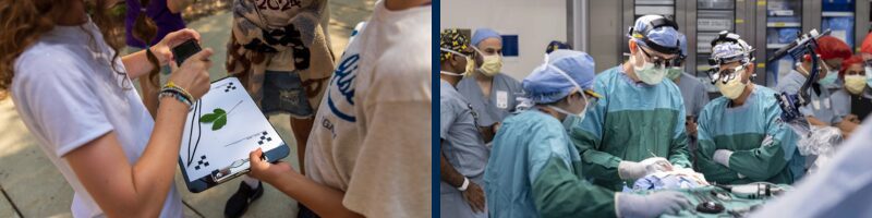 Left image: Scientists taking photos of a leaf. Right Image: Surgeons performing a surgery in a U-M operating room.