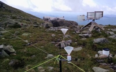 Air quality: Rainfall history matters as much as where the air came from