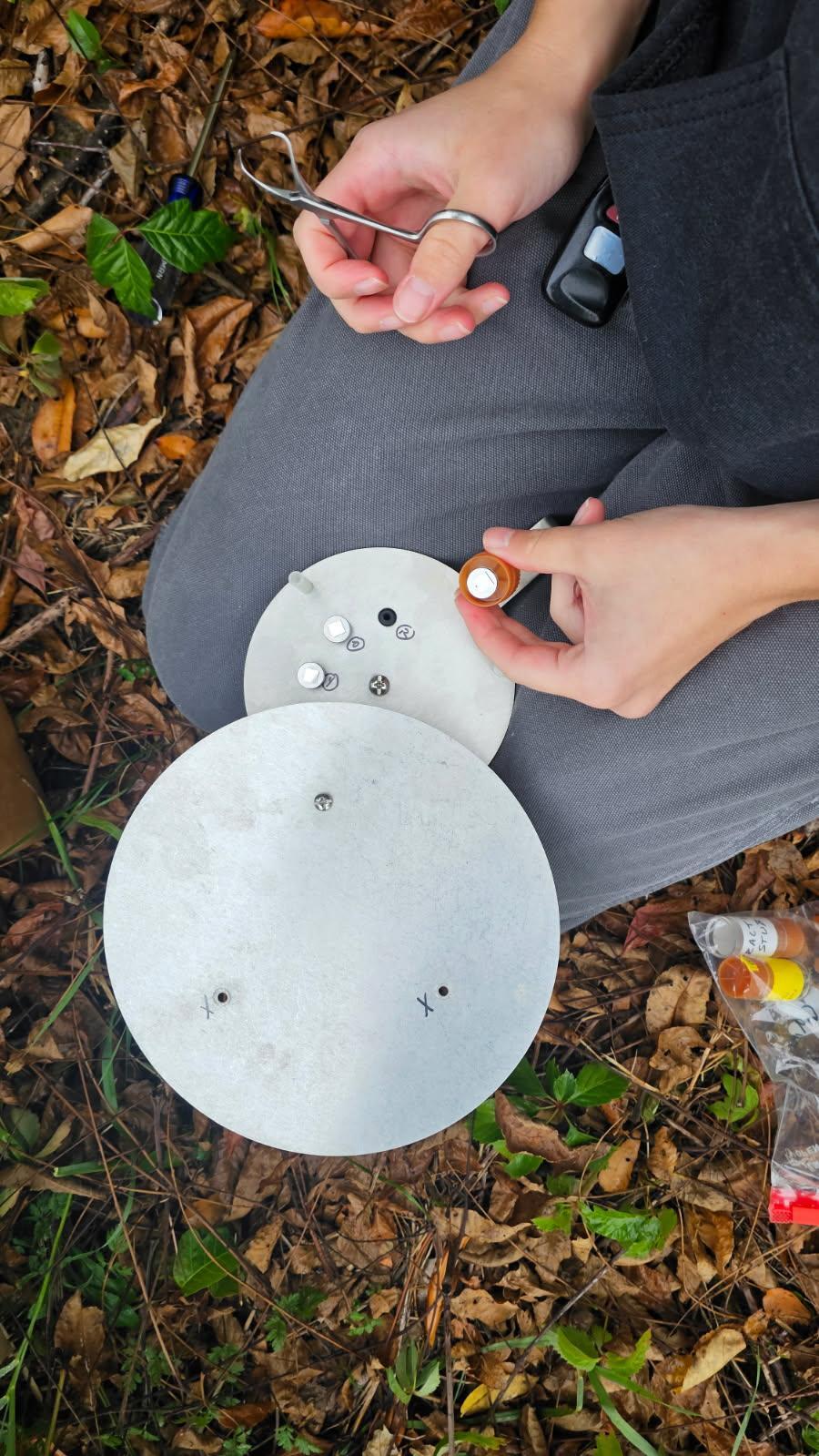 A person seated on the forest floor uses forceps to handle a small sample vial beside circular metal field equipment.