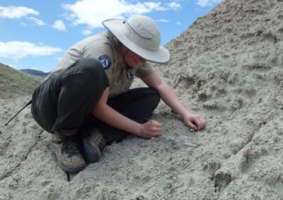Anne Kort, an assistant professor in the Museum of Paleontology and a Michigan Society of Fellows postdoctoral scholar, excavates a horse leg bone at John Day Fossil Beds National Monument in Oregon.