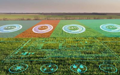From up on high: A view from space for a future for small farms