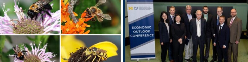 Read the July edition of Michigan Research.