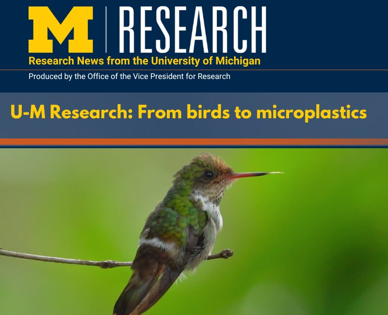 Michigan Research Newsletter for July 2026